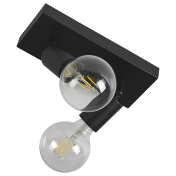 GAMMA opbouwspots Capri 2-lichts zwart