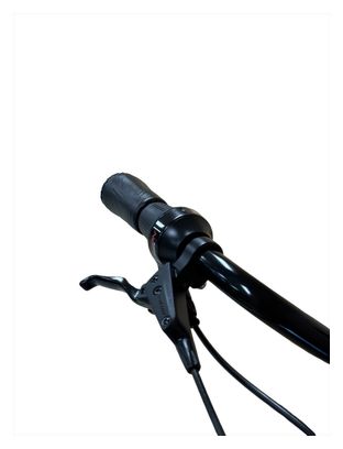 Produit reconditionné . Gazelle Arroyo Elite Ceinture C5 SHIMANO NEXUS 2022 . Vélo électrique . Gazelle . très bon état