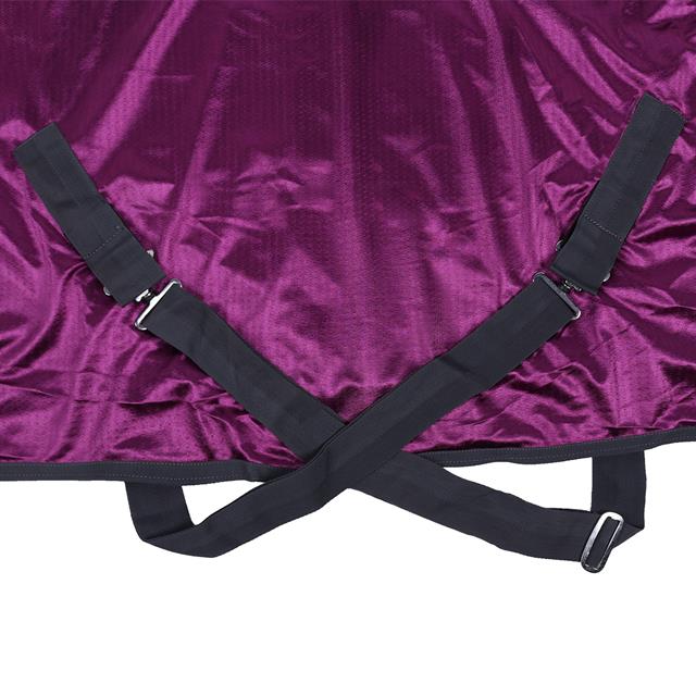Vliegendeken Epplejeck EJAthletic Full Neck Paars