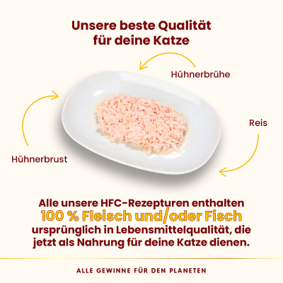 Almo Nature HFC Natural Hühnerbrust 70g
