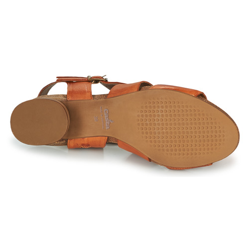 Casta - ERVA - Orange