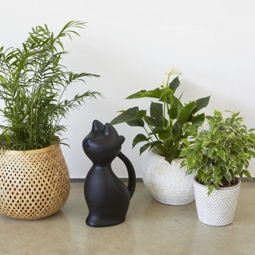 Regador de gato preto Balvi Miau