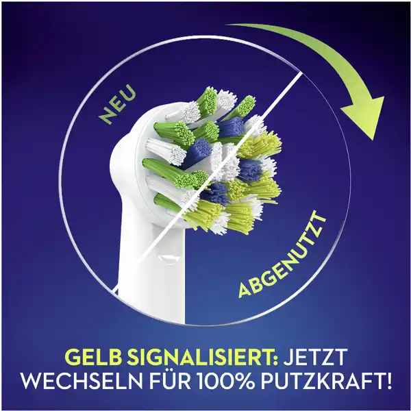 Aufsteckbürsten Cross Action Clean Maximiser
