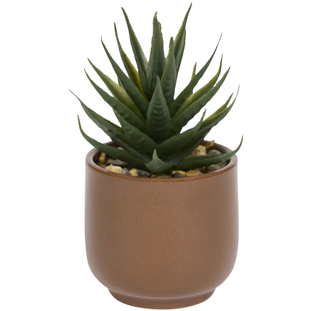 Plante grasse artificielle en pot Home Accents