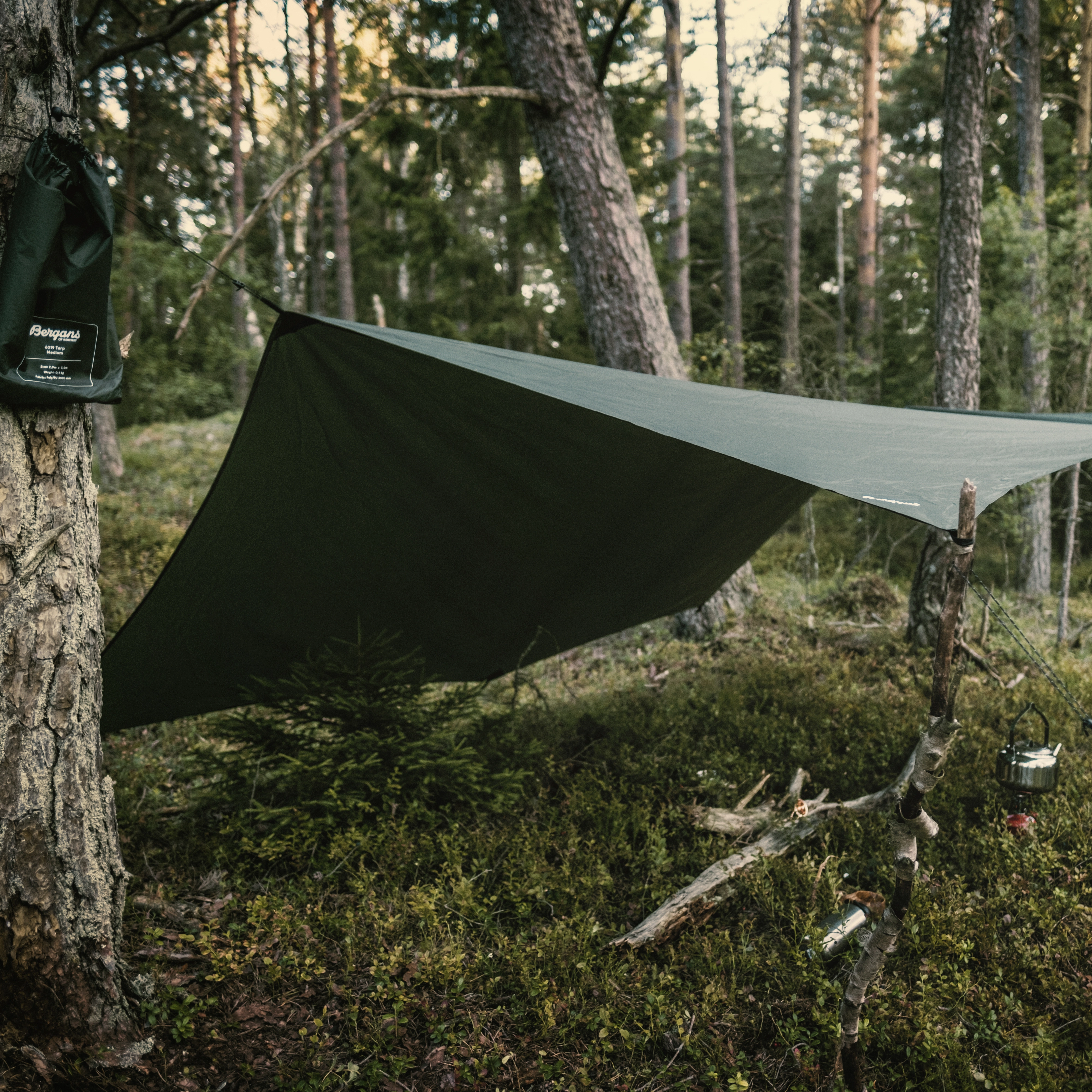 Tarp Medium Green