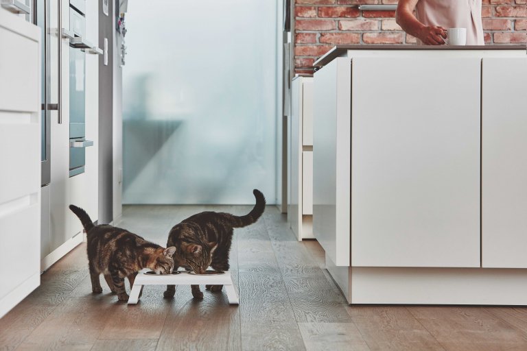 MiaCara Desco kattenvoerbak aluminium grijs