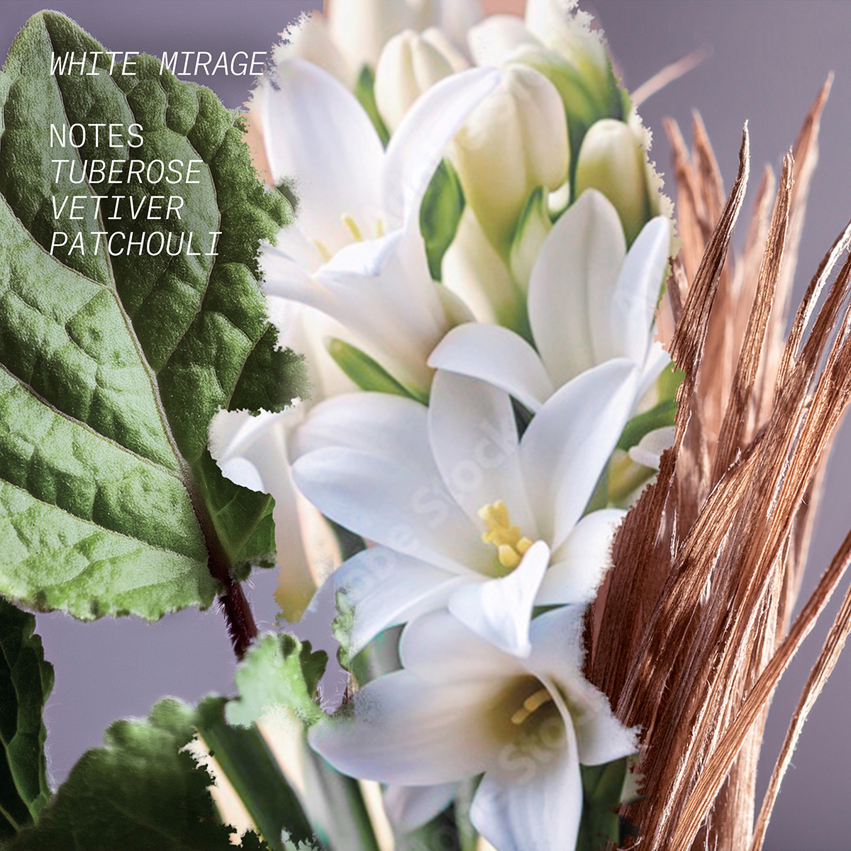 White Mirage Eau de Parfum 100ml