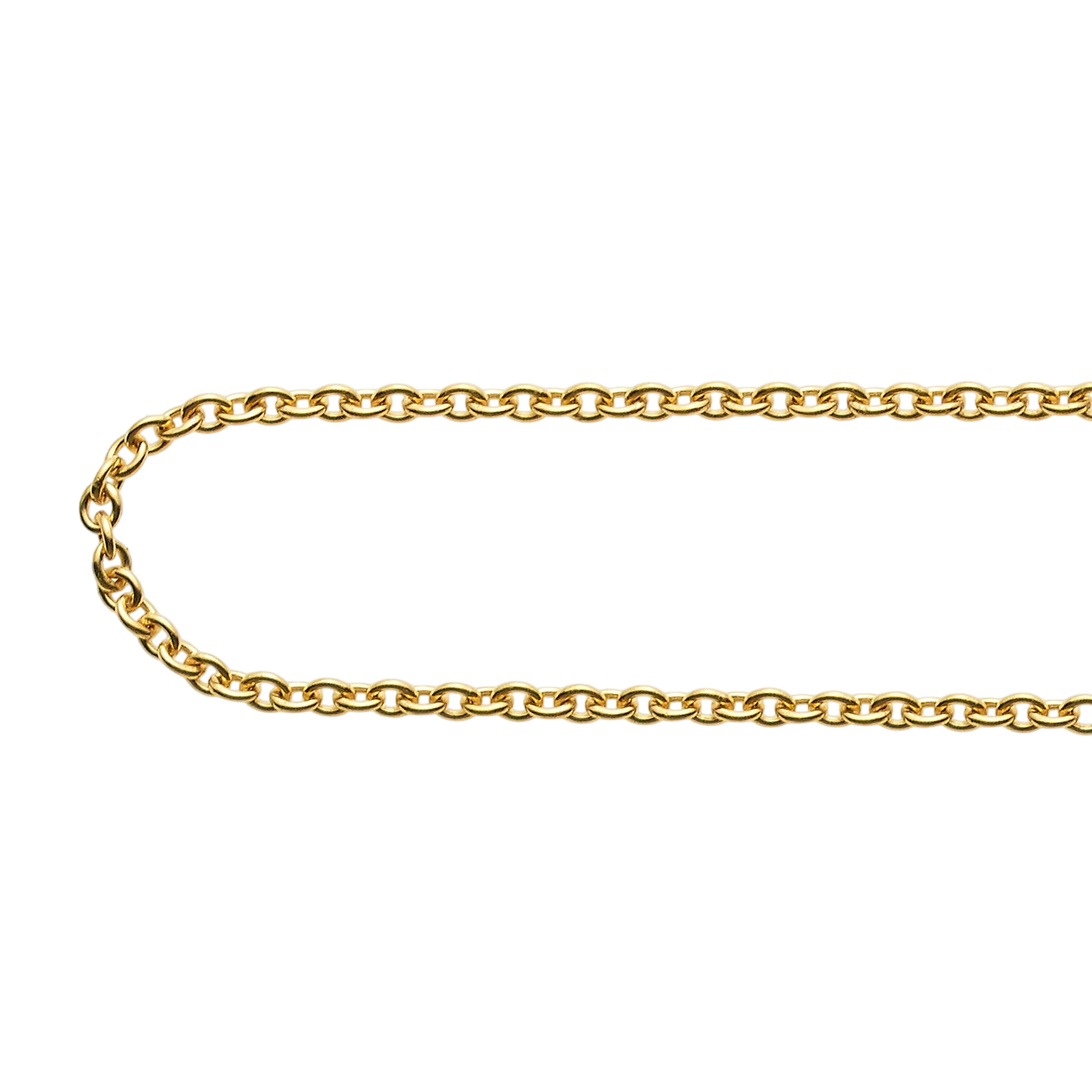Collier 50cm vergoldet mit Muschel Anhänger