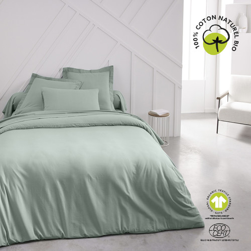 Today - ORGANIC CELADON - Celadon