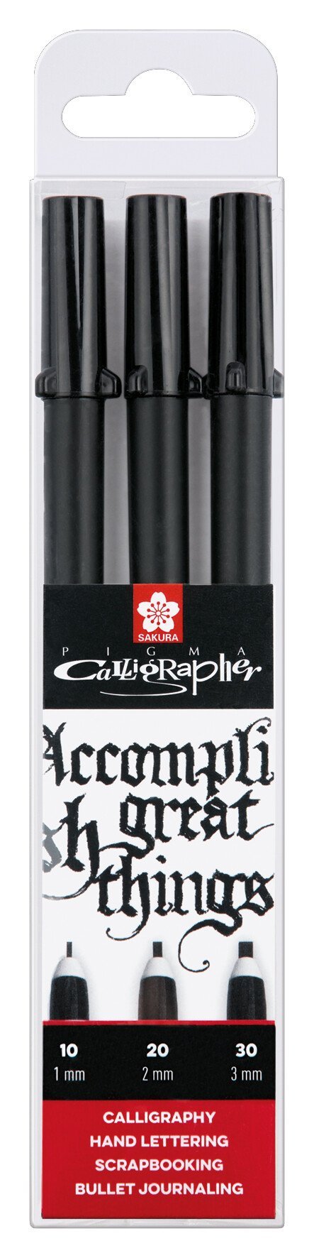Sakura Stifte Pigma Calligrapher, Set
