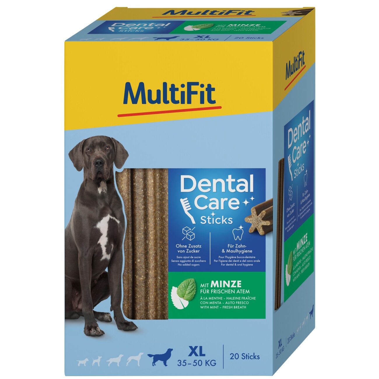 MultiFit Mint DentalCare sticks Multipack XL, 20x