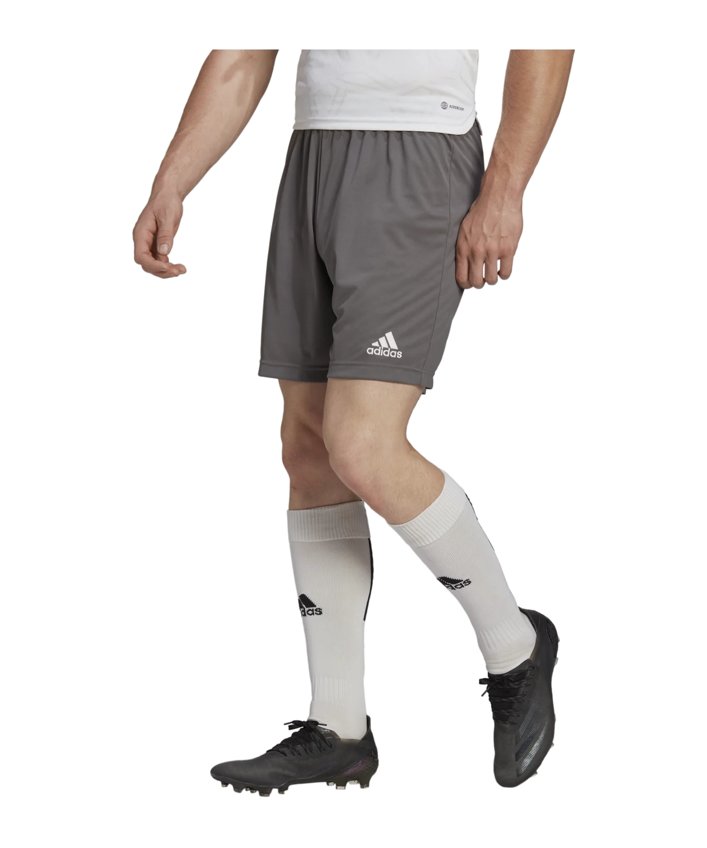 adidas Entrada 22 Short Grau