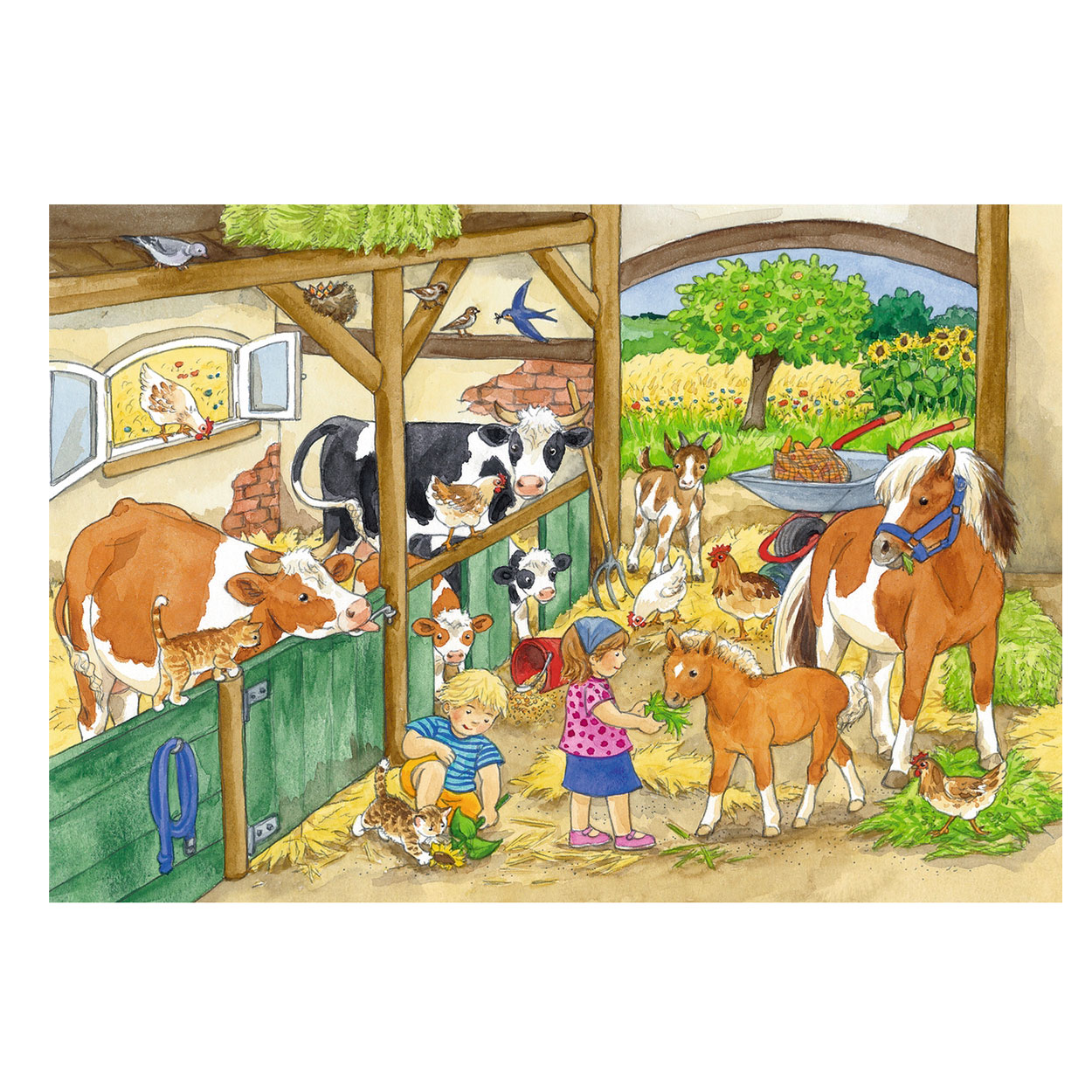 Vrolijk Boerderijleven, 2 x 24st.