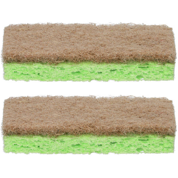 Greenhub Eco Schuursponsjes 2 stuks