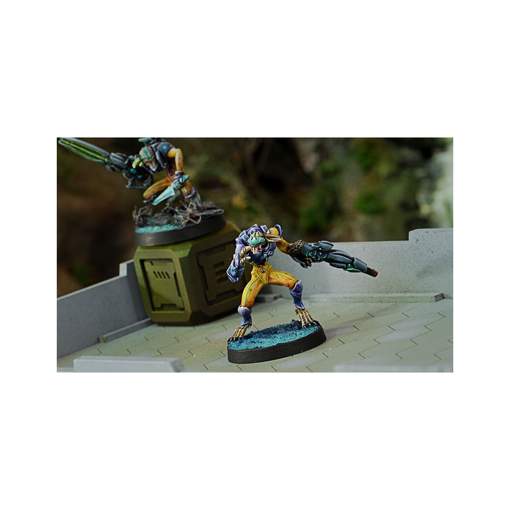 Infinity - Combined Army - Malignos (Hacker)