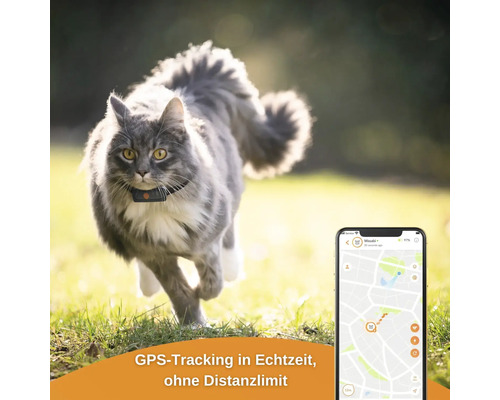 GPS tracker weenect voor katten, 28 g, 6 x 2,4 x 1,5 cm, zwart