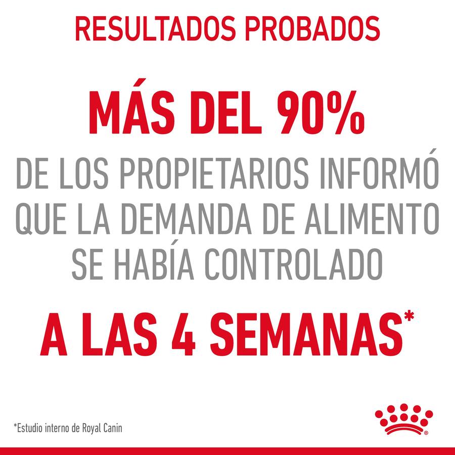 Sachê de molho Royal Canin Appetite Control Care para gatos