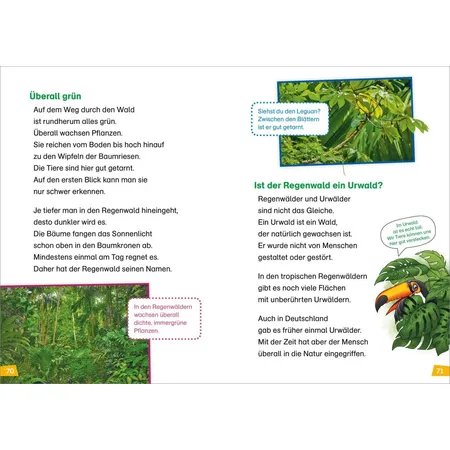 Tessloff WAS IST WAS Erstes Lesen Doppelband 3.Vulkane/Regenwald