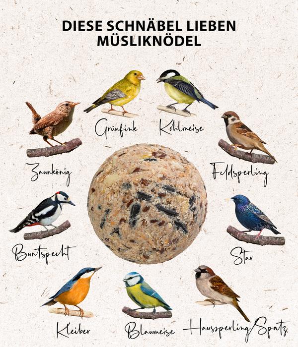 Dehner Natura Premium Wildvogelfutter