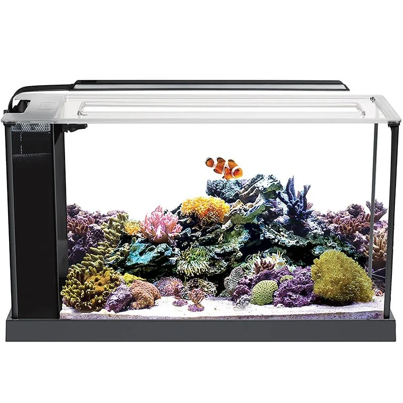 Aquário marinho Fluval Evo, preto, 19 litros
