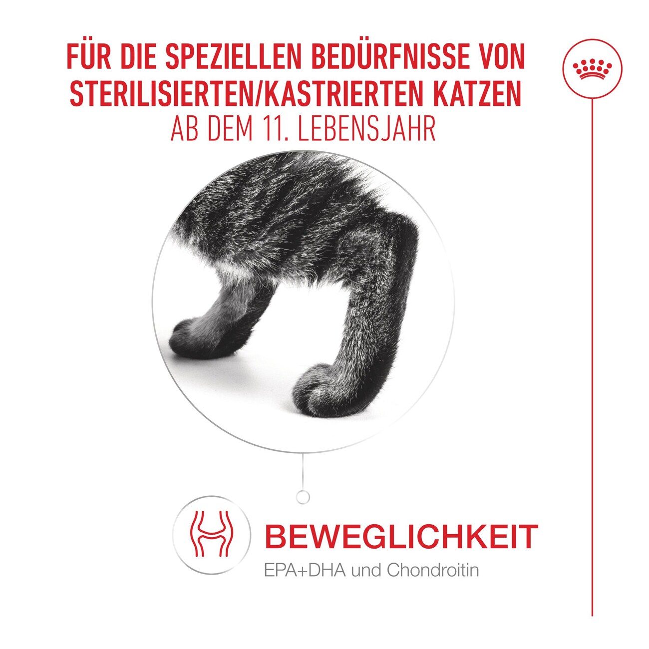 ROYAL CANIN Trockenfutter Katze, Senior, Ageing Sterilised 11+ 400 g