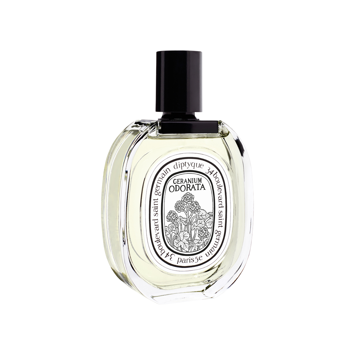 Geranium Odorata Eau de Toilette 100ml