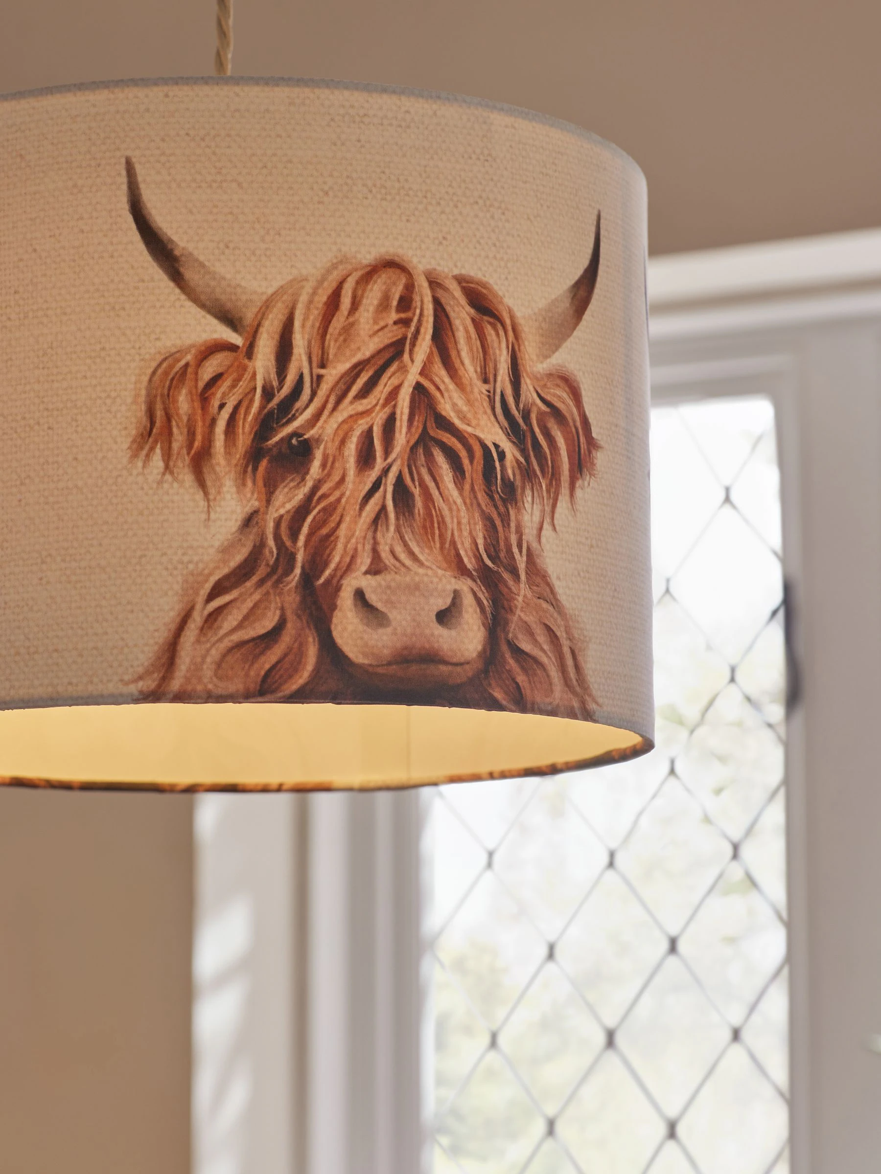 Hamish Easy Fit Ceiling Light
