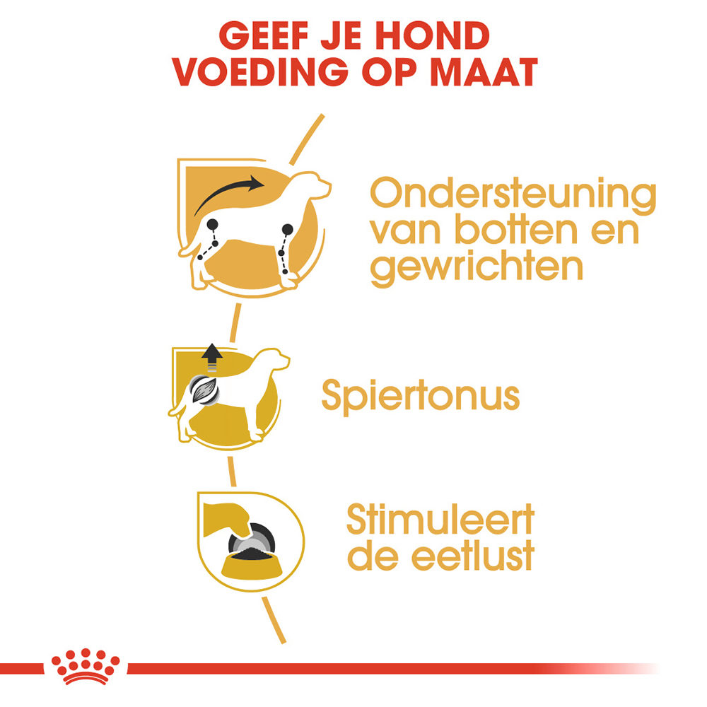 Royal Canin Dachshund Adult Wet - Hondenvoer