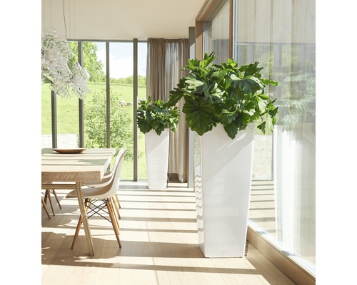 Lechuza Cubico Alto 40 plantenbak complete set H 105 cm wit
