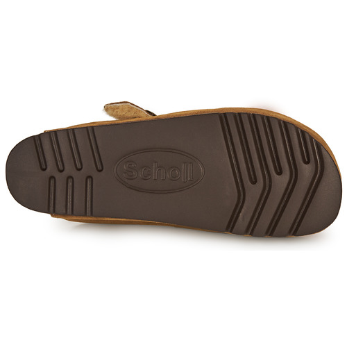 Scholl - FAE Topotea