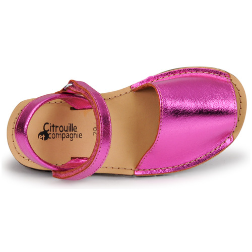Citrouille et Compagnie - SQUOUBEL - Fuschia