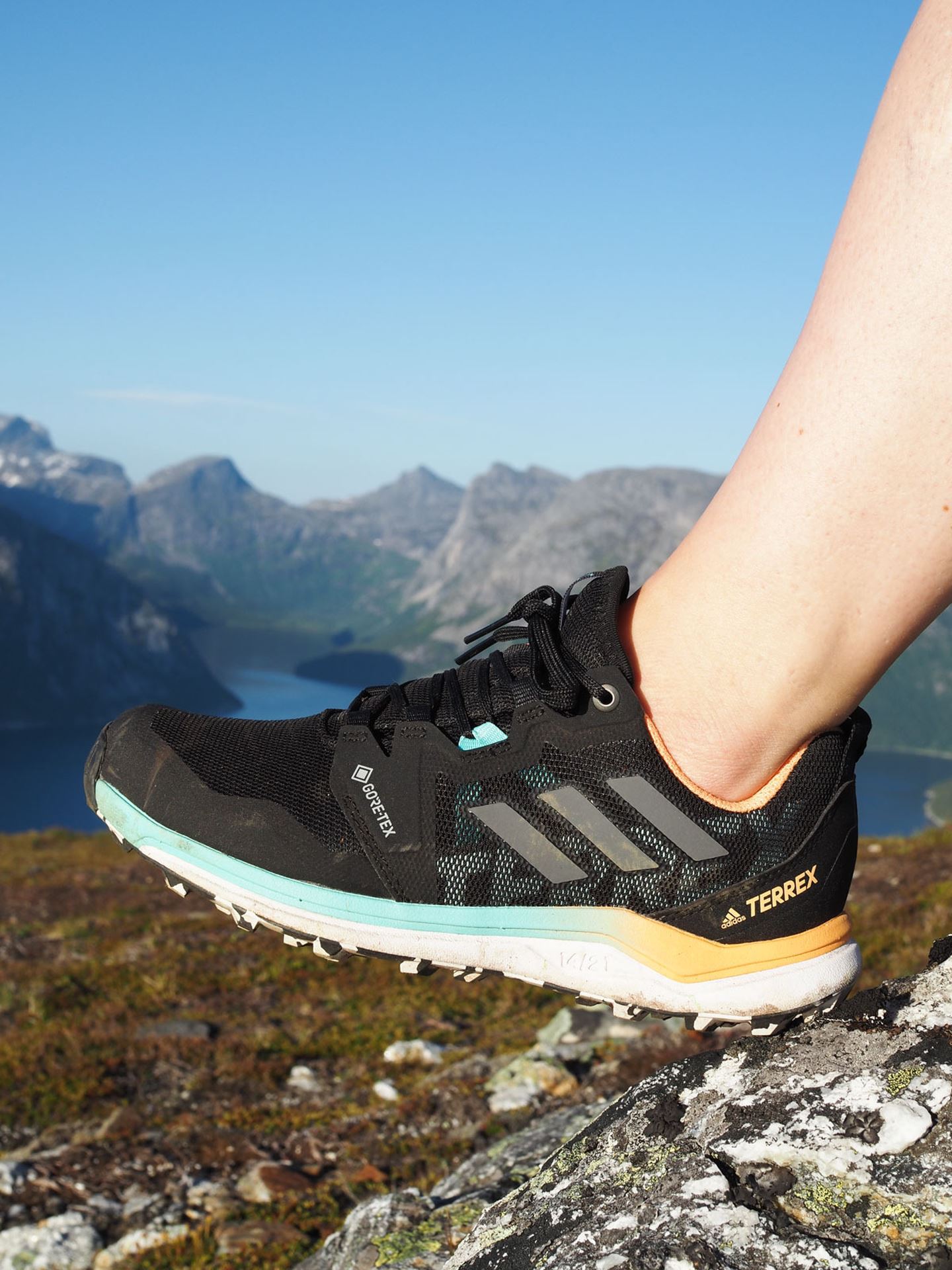 Terrex Agravic GTX Trail