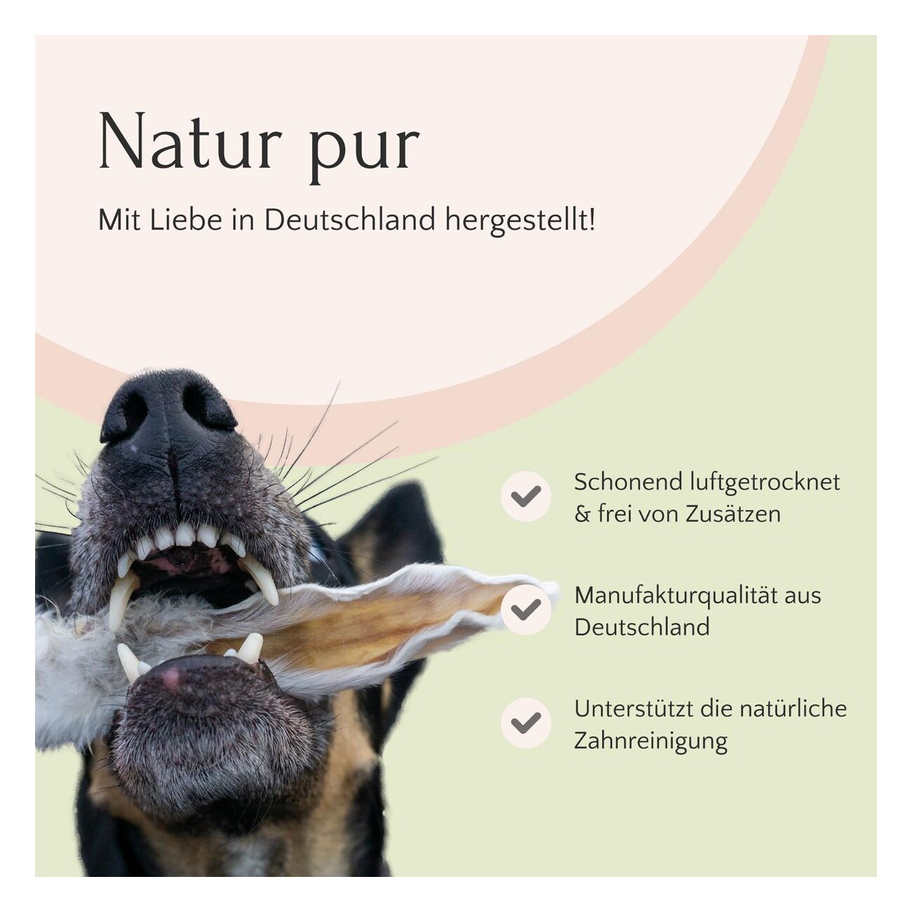 FAVLY Petfood Pferdekopfhaut 600 g