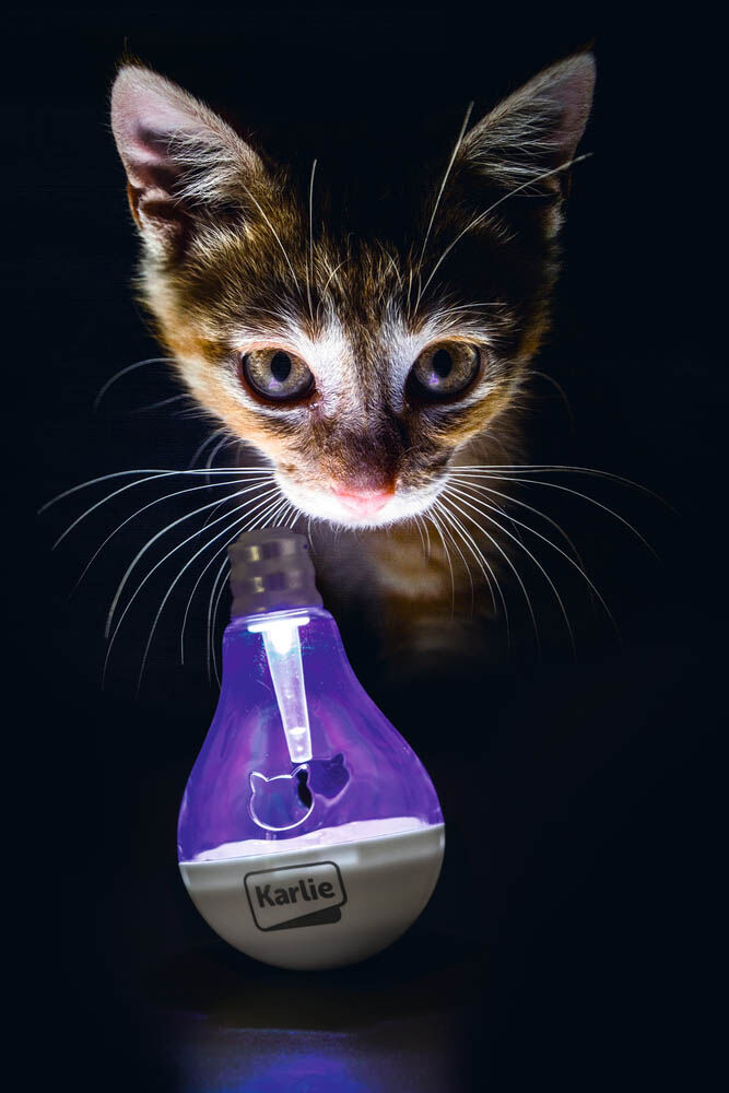 Karlie - Katten LED Gloeilamp - Wit - 1 cm