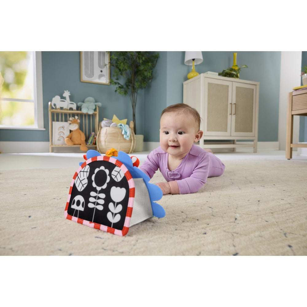 Køb Fisher-Price® Nyfødt 2-i-1 Spejl