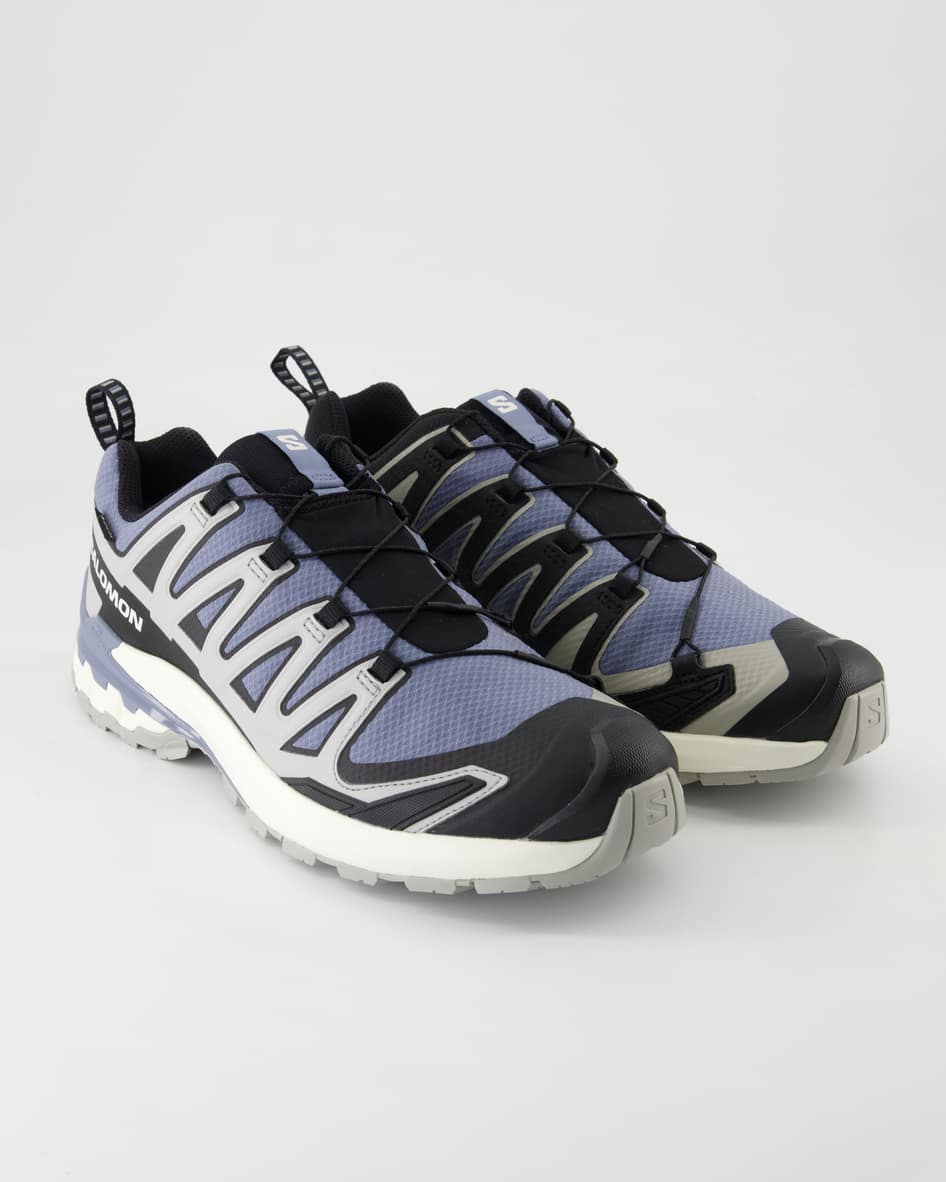 Salomon XA PRO 3D V9 Wanderschuhe in Grau