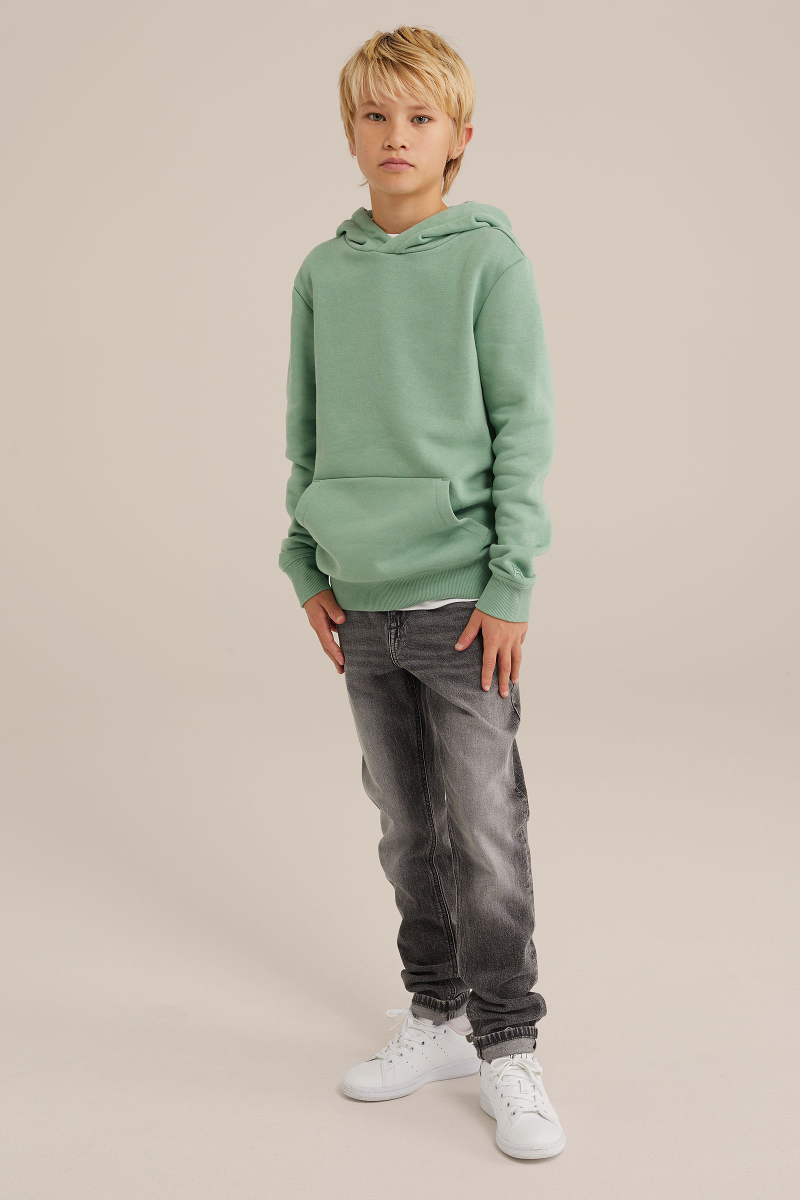 Unisex hoodie Blue Ridge Pastelgroen