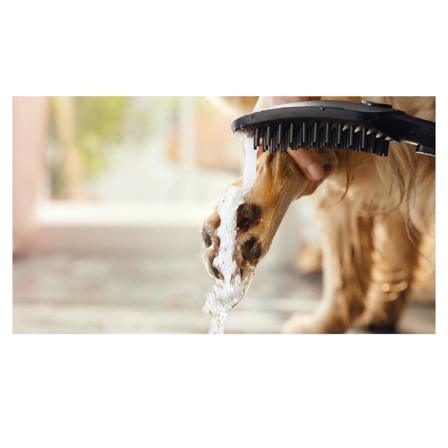 Chuveiro Hansgrohe Black Dog
