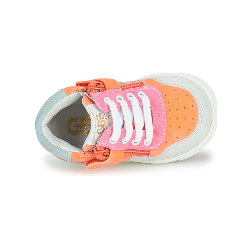 GBB - LASARA - Multicolore