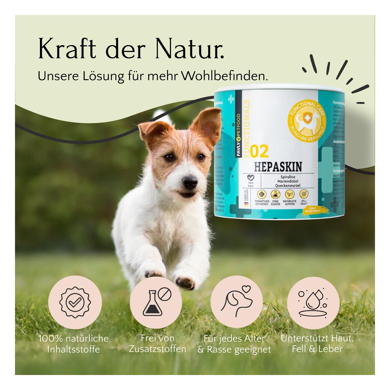 FAVLY Petfood HEPASKIN - Haut & Fell 250 g