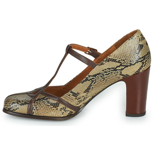 Chie Mihara - FATMA - Python / Marron