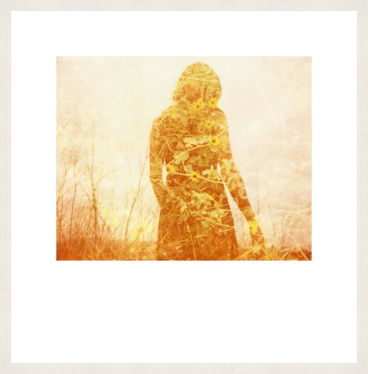 Illuminated III by Clay Lipsky - Limited Edition. Edition of: 100. Signed.