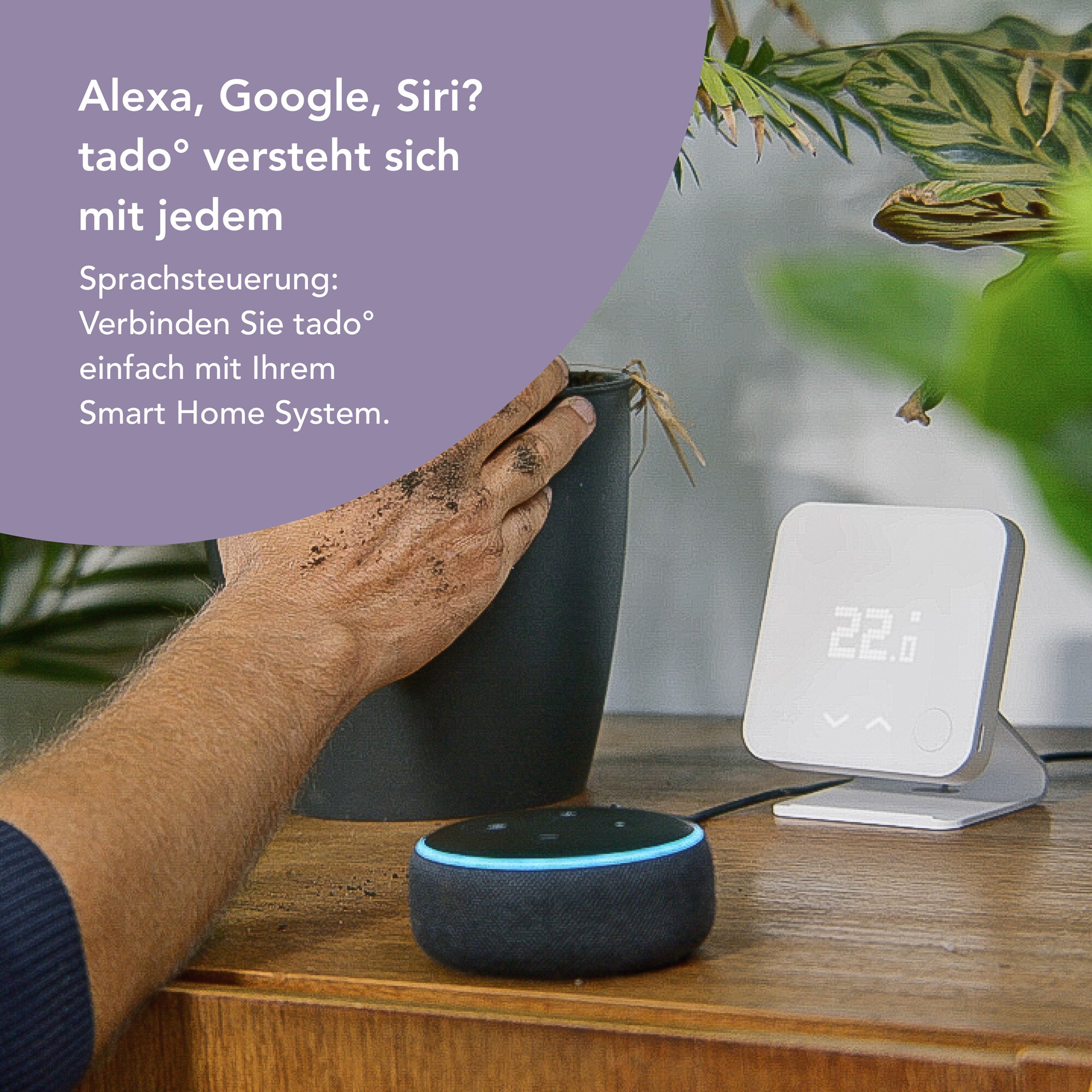 tado° Thermostat Smartes Thermostat (Verkabelt)