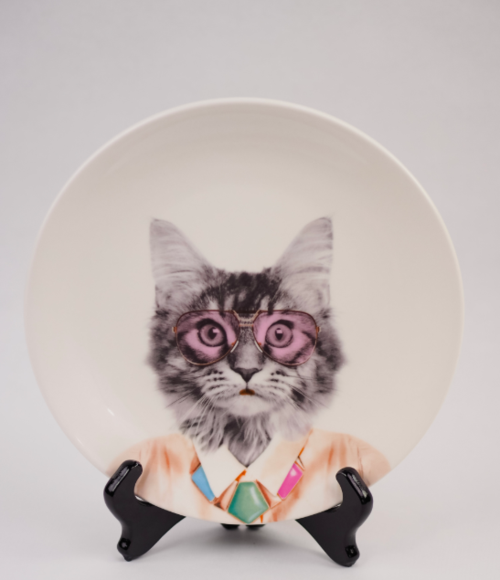 Prato com gato. Vestido e informal, branco.