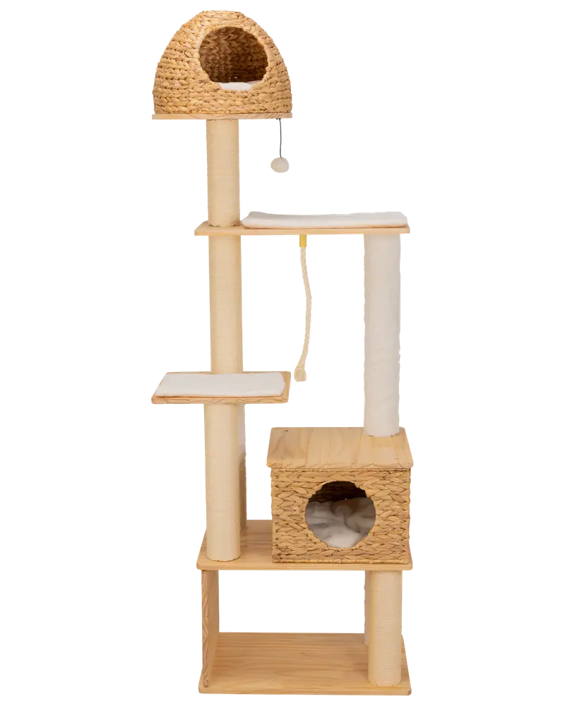Kradsetræ med huler 1,87 meter