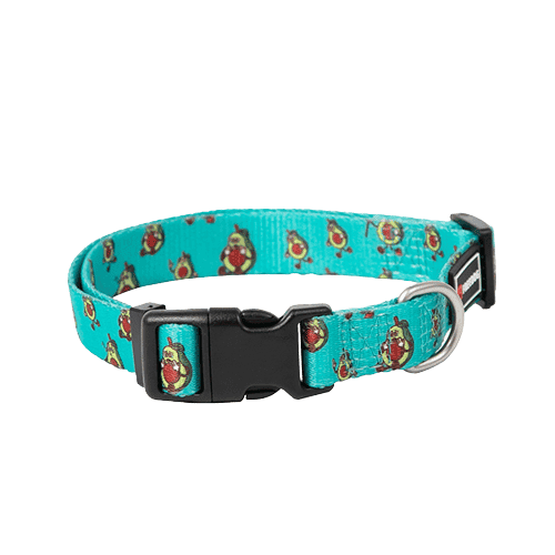 Coleira Freedog Abacate M
