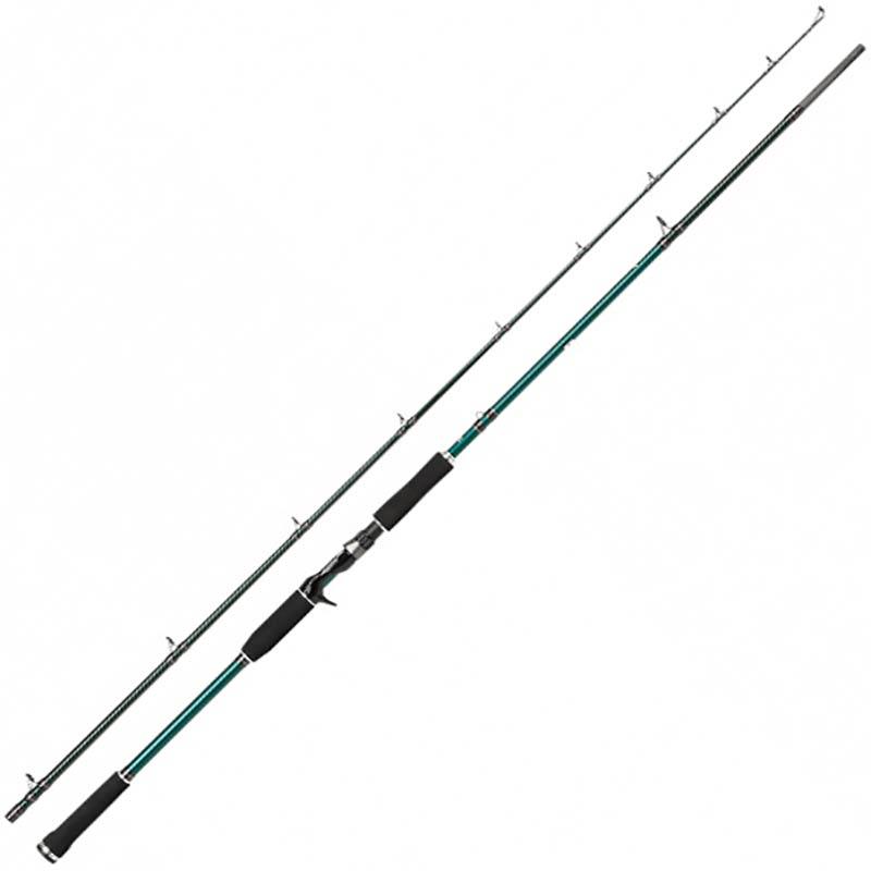 Canne Casting Abu Garcia Beast X Casting Rod