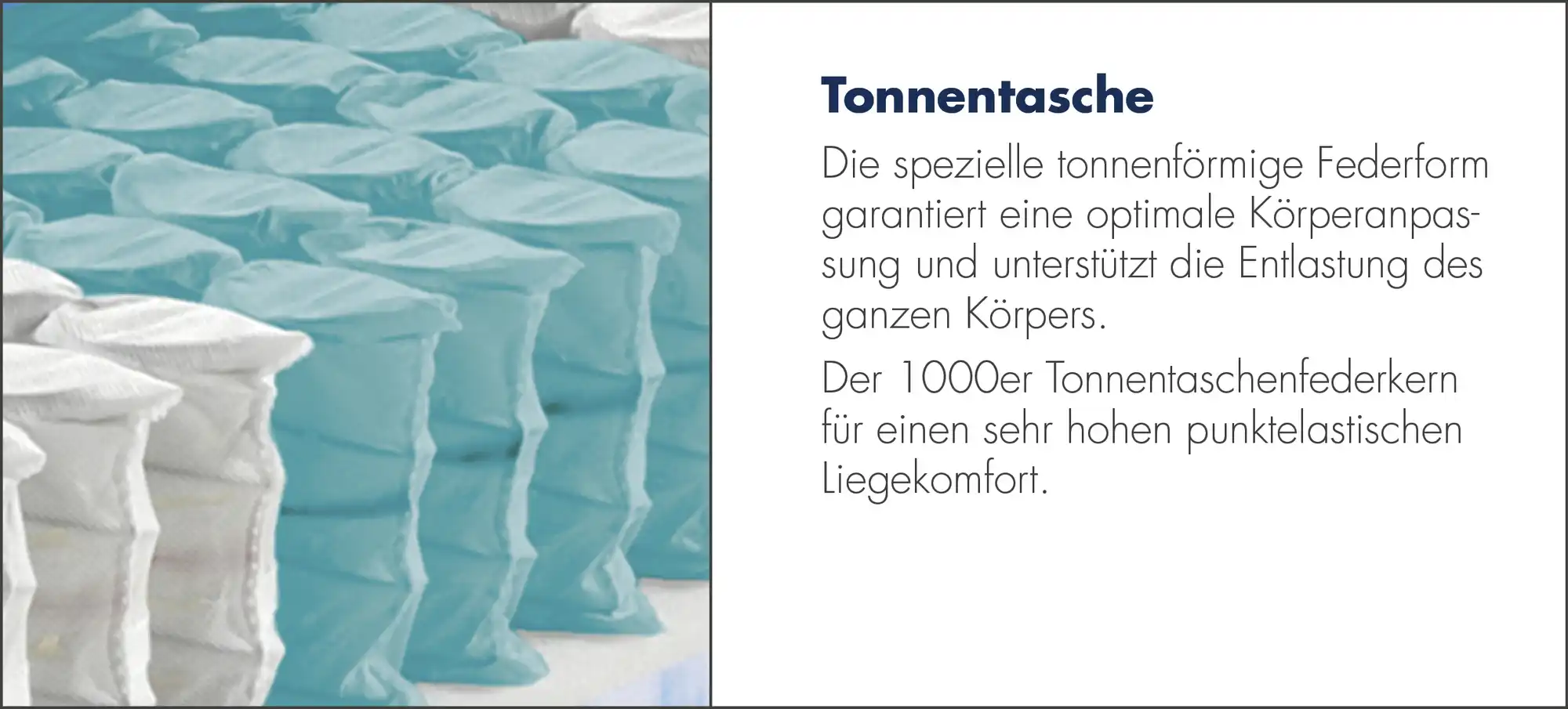 IRISETTE 7-Zonen Tonnentaschenfederkern-Matratze IRISETTE Sylt TTFK