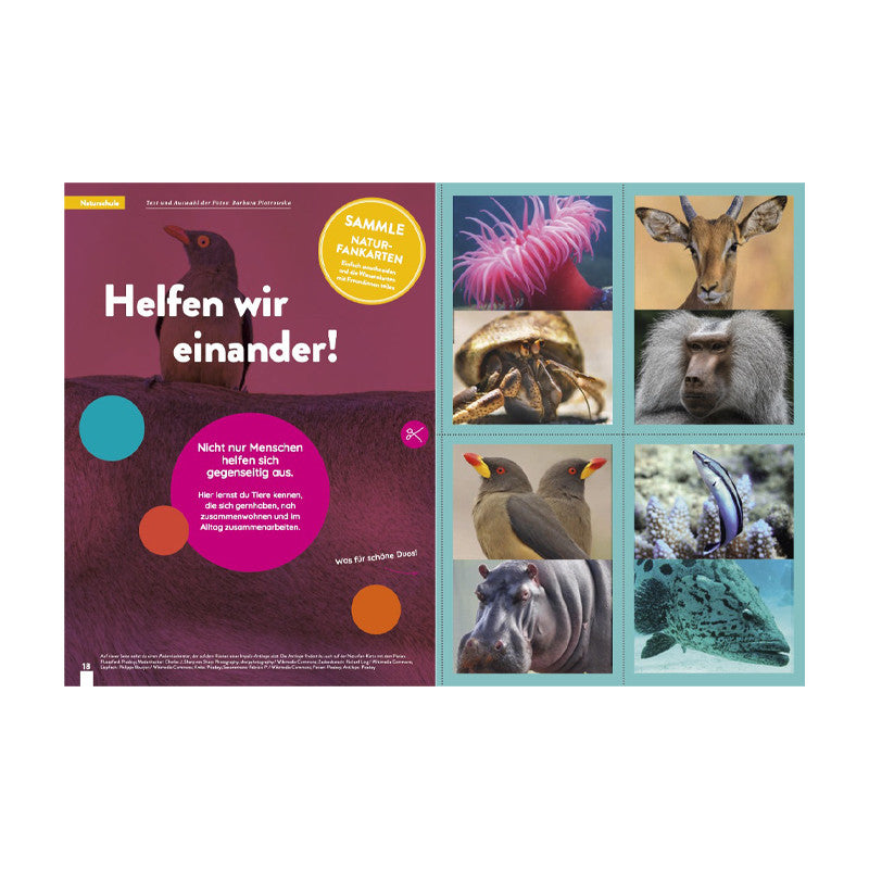 Kaleio Nr. 23: Freundinnen