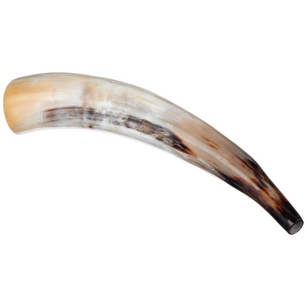Thomann Cow Horn polished